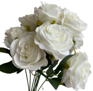 White Daria Rose Bunch