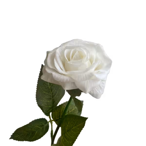 White Ella Real Touch Rose
