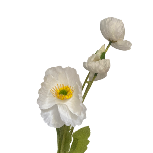 White Elsie Poppy Spray