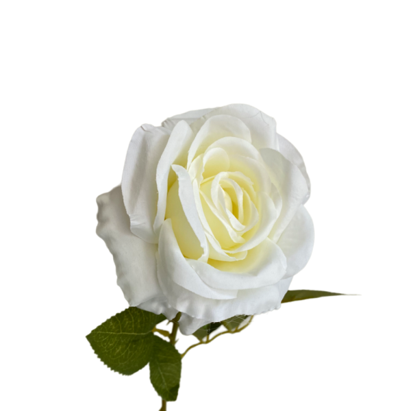 White Nova Silk Rose