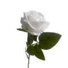 White Sara Mini Velvet Rose