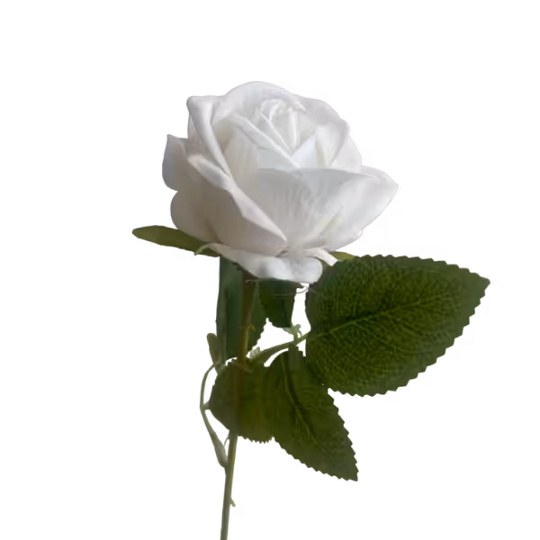 White Sara Mini Velvet Rose