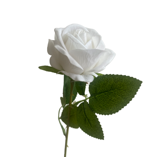 White Sara Mini Velvet Rose