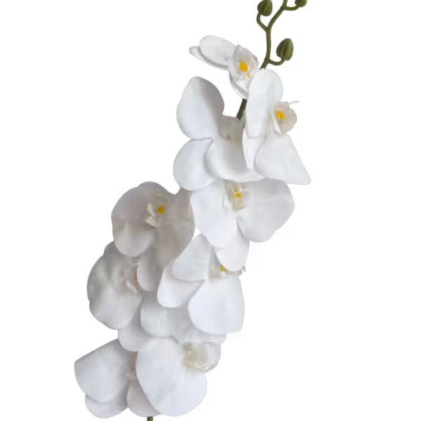 White Victoria Real Touch Orchid