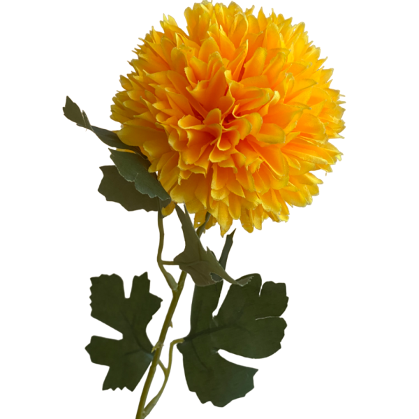 Yellow Isla Chrysanthemum