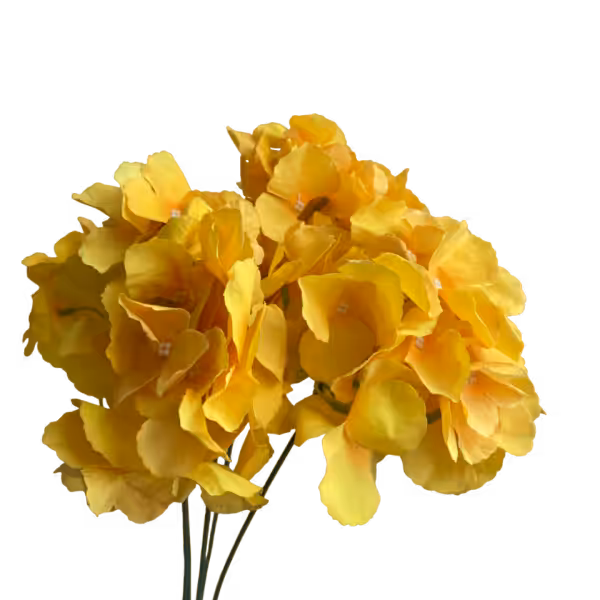 Yellow Larisa Hydrangea Bunch