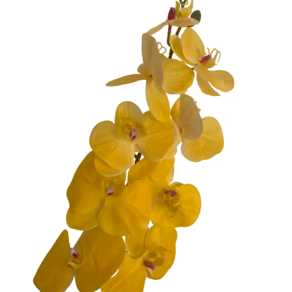 Yellow Victoria 9-Head Real Touch Orchid