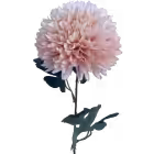 Light Pink Isla Chrystanthemum