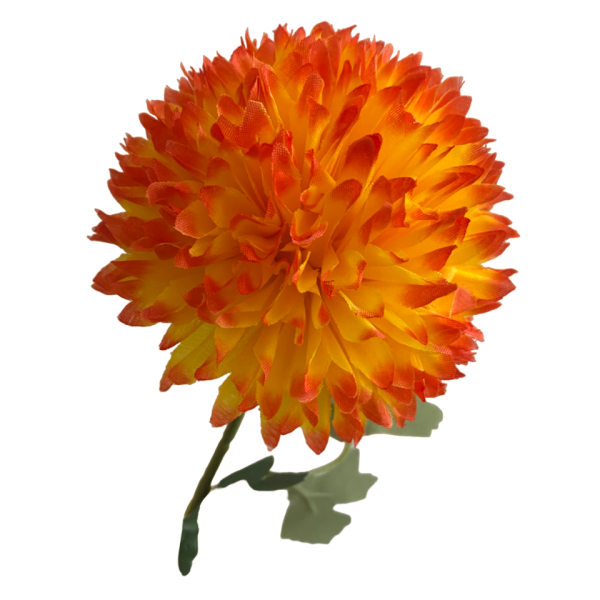 Orange Ombre Isla Chrysanthemum