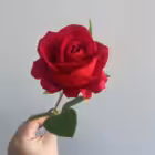 Red Sara Mini Velvet Rose