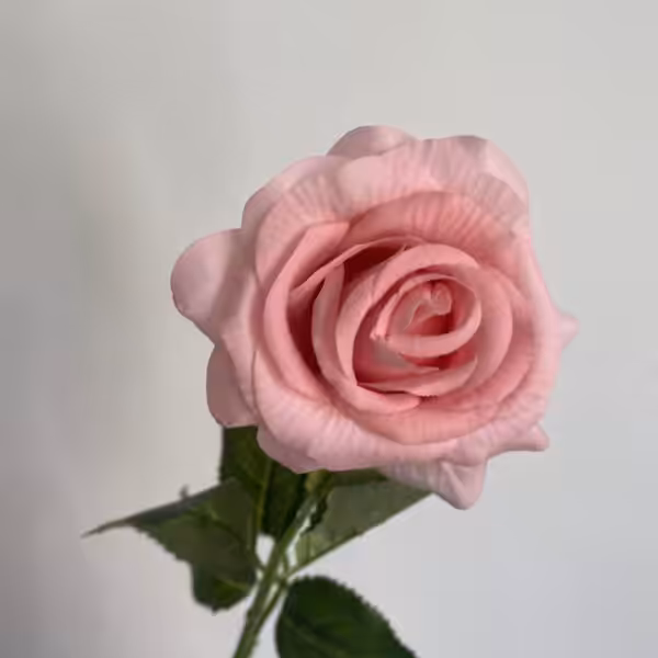 Pink Ombre Ella Real Touch Rose