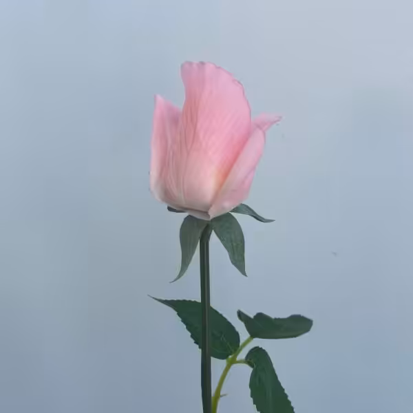 Pink Amy Real Touch Rose Bud