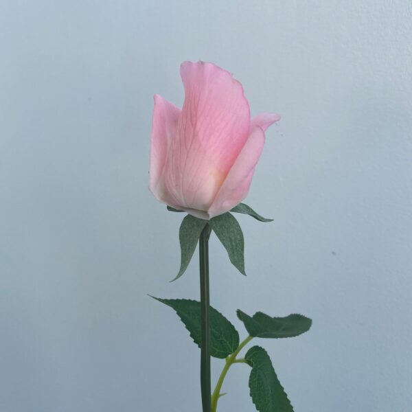 Pink Amy Real Touch Rose Bud