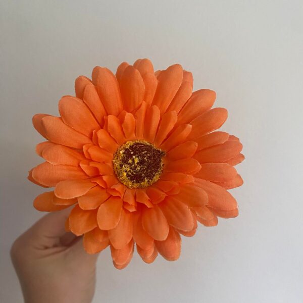 Orange Sophie Daisy