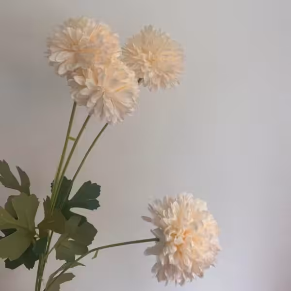 Champagne Chloe 4-Head Chrysanthemum Spray
