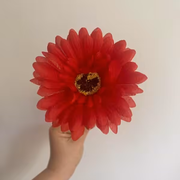 Red Sophie Daisy