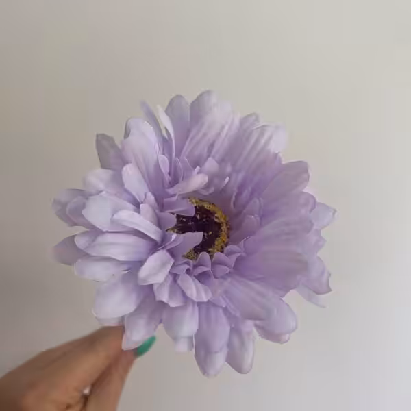 Lilac Sophie Daisy