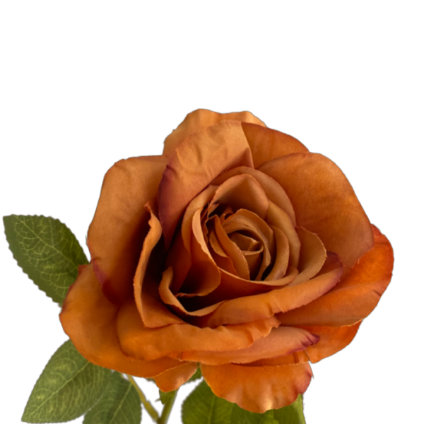 Burnt Orange Nova Silk Rose