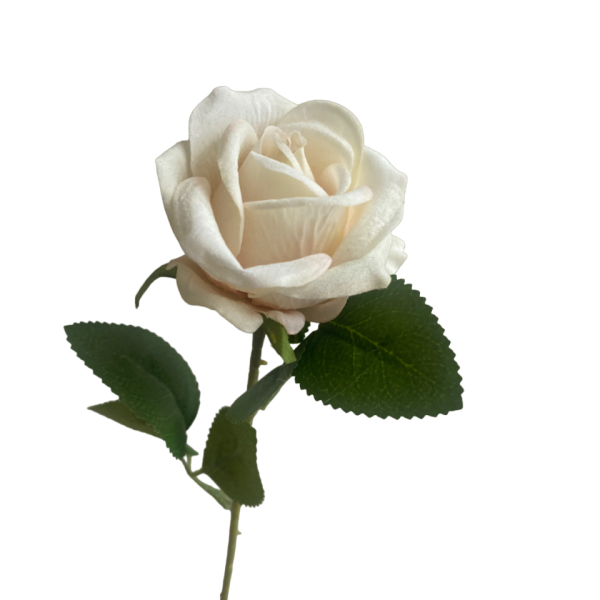 Champagne Sara Mini Velvet Rose