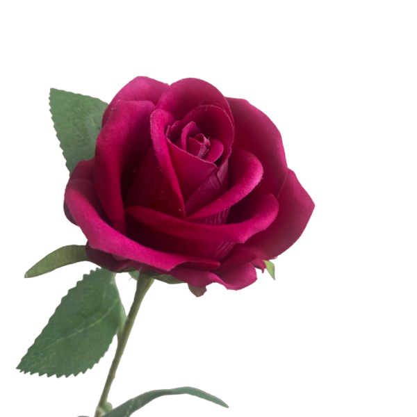 Hot Pink Sara Mini Velvet Rose