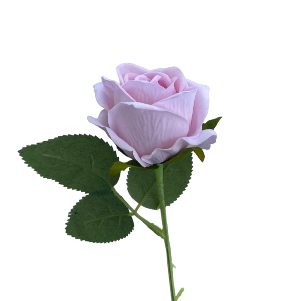 Pastel Pink Sara Mini Velvet Rose