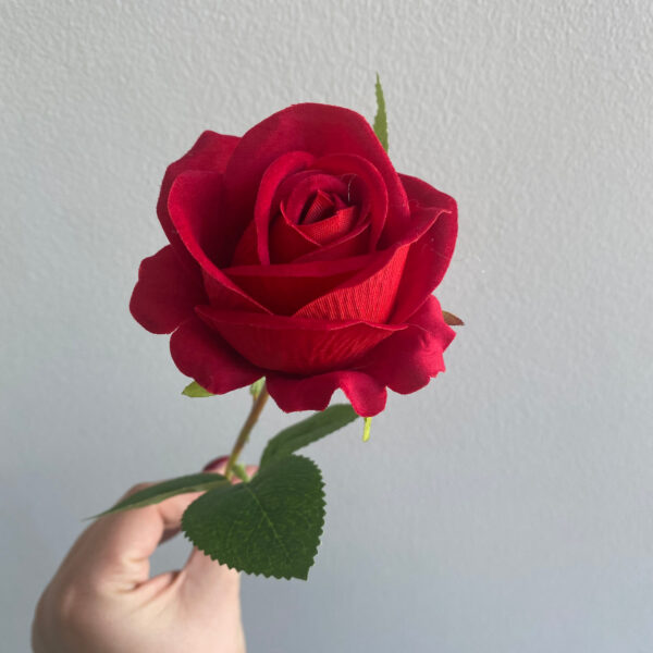 Red Sara Mini Velvet Rose