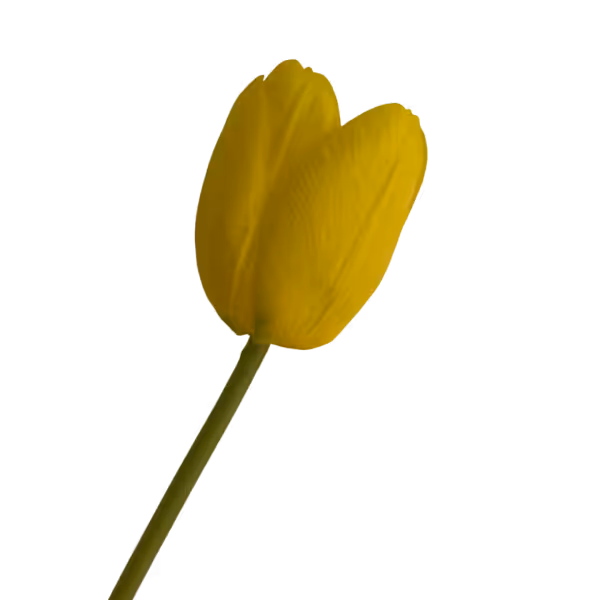 Yellow Penny Real Touch Tulip