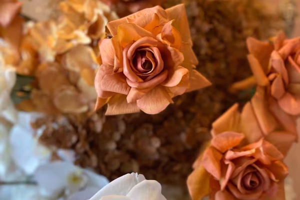 the-silk-studio-gall-15