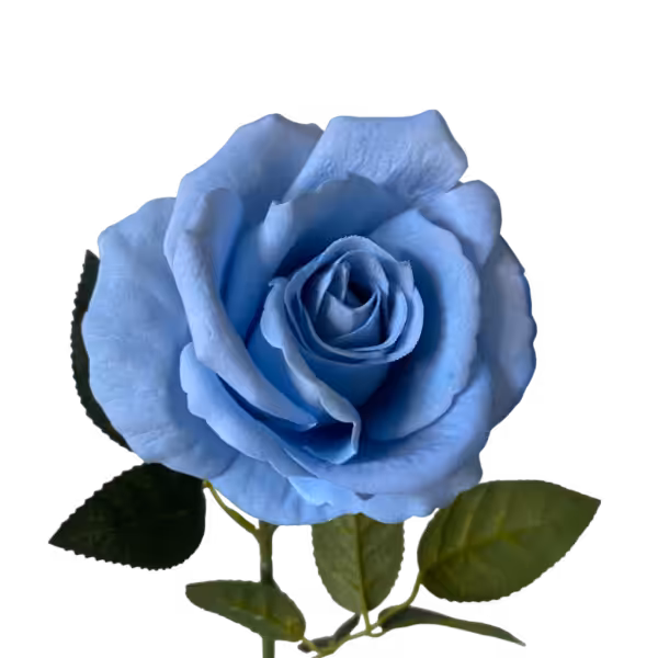 Baby Blue Bella Velvet Rose