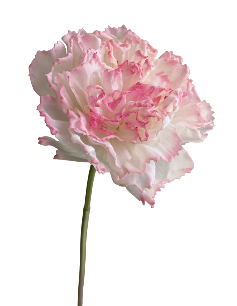 Pink Ombre Lucy Real Touch Carnation