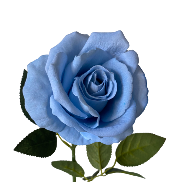Baby Blue Bella Velvet Rose