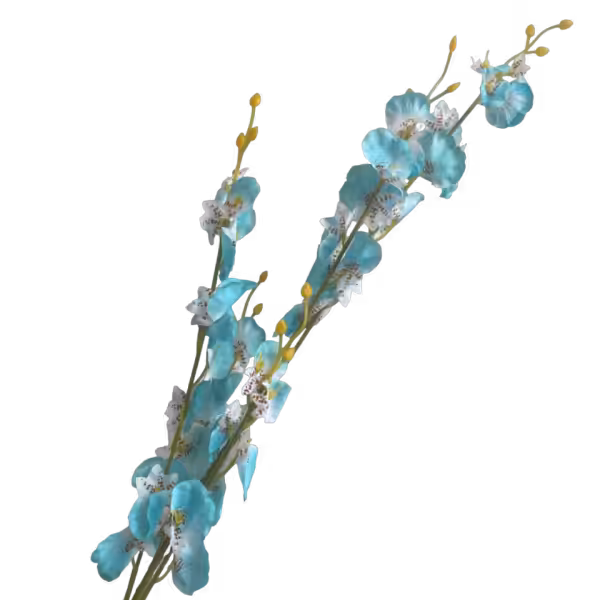 Blue Dana Dancing Orchid