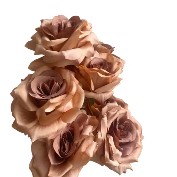 Brown Isabella 9-Head Rose Bunch