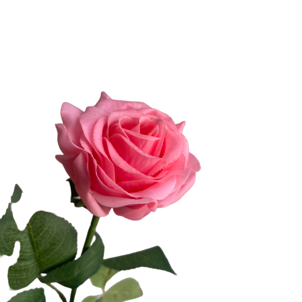 Candy Pink Ella Real Touch Rose