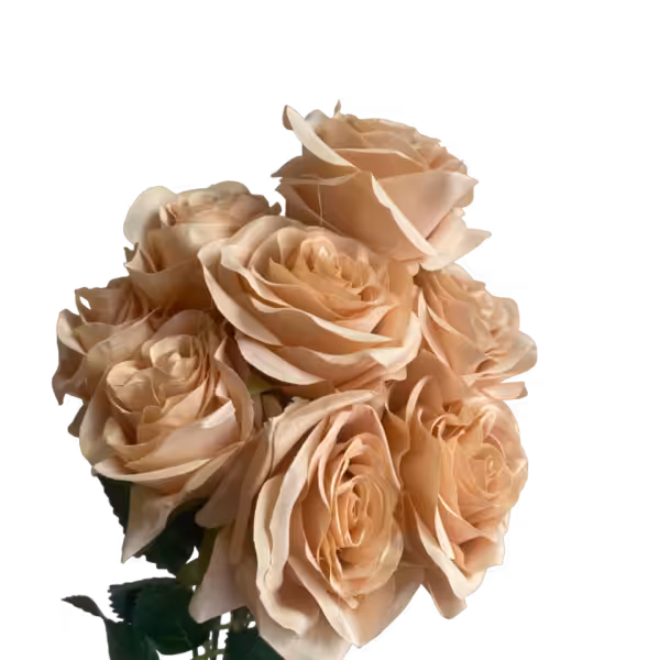Caramel Daria 10-Head Silk Rose Bunch