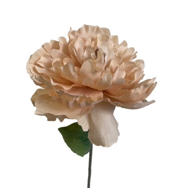 Caramel Evelyn Silk Peony