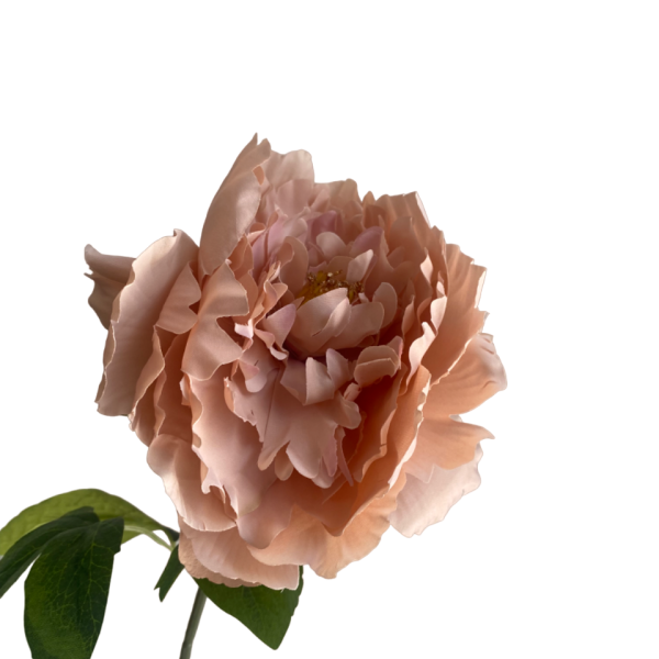 Pink Evelyn Silk Peony