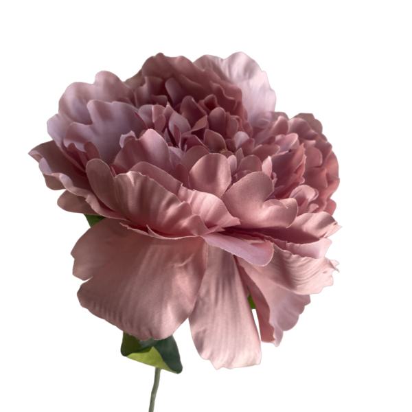 Dusty Pink Evelyn Silk Peony