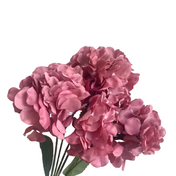 Dusty Pink Bianca 5-Head Hydrangea Bunch