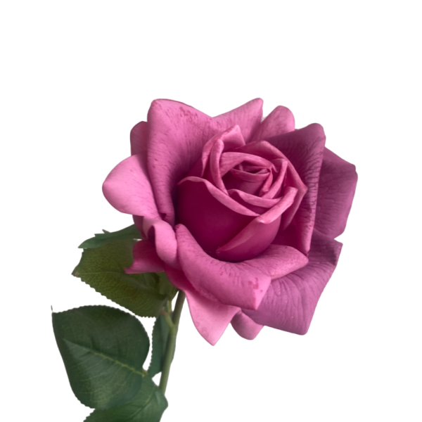 Fuchsia Eva Real Touch Rose