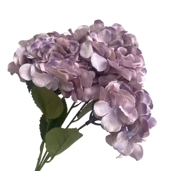 Grape Bianca 5-Head Hydrangea Bunch