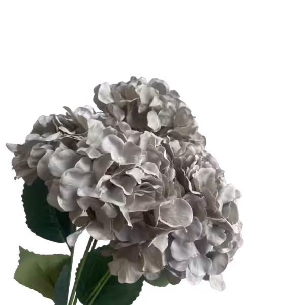 Light Grey Bianca 5-Head Hydrangea Bunch
