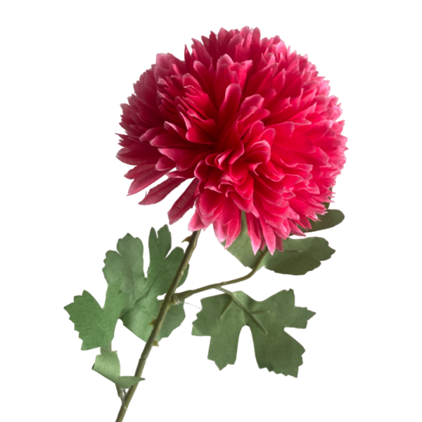 Hot Pink Isla Chrysanthemum