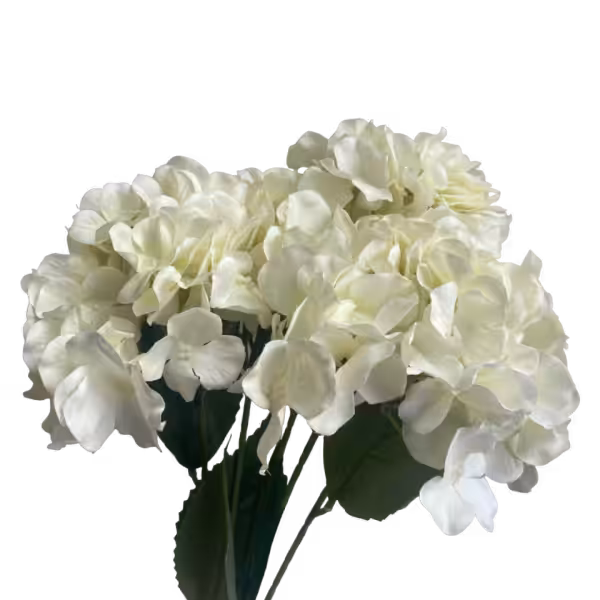 Ivory Bianca 5-Head Hydrangea Bunch