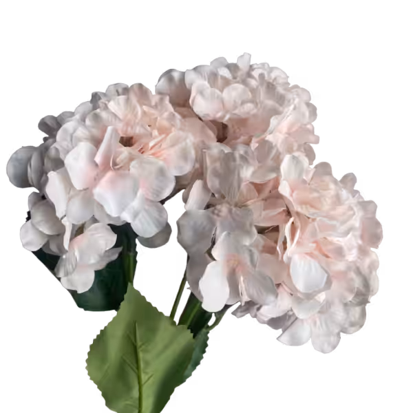 Light Pink Bianca 5-Head Hydrangea Bunch