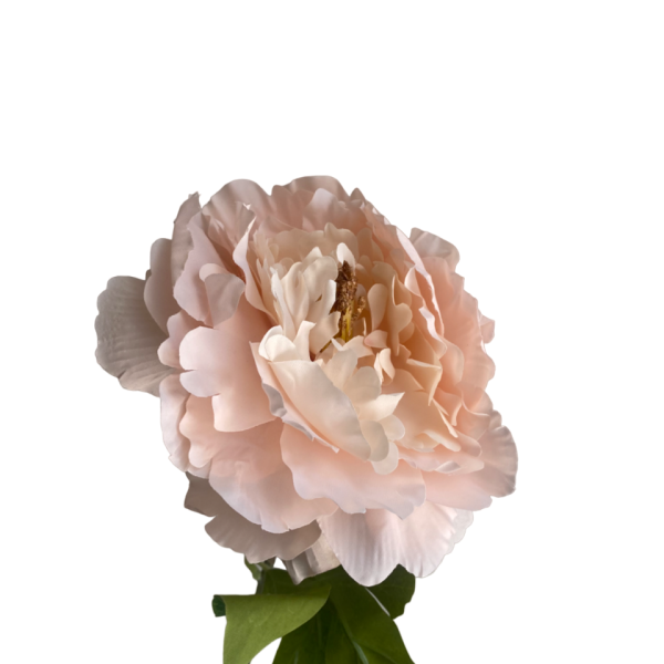 Light Pink Evelyn Silk Peony