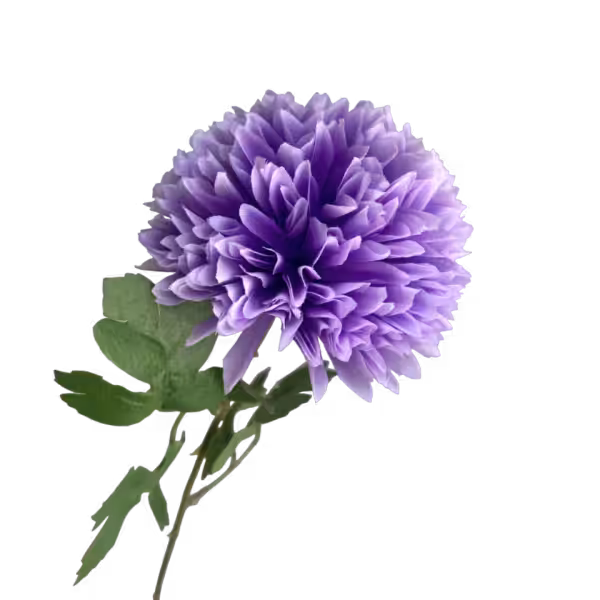 Light Purple Isla Chrysanthemum