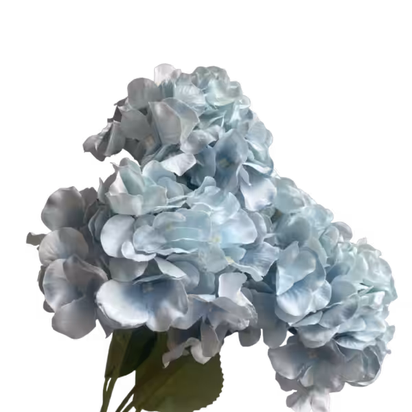 Light Blue Bianca 5-Head Hydrangea Bunch