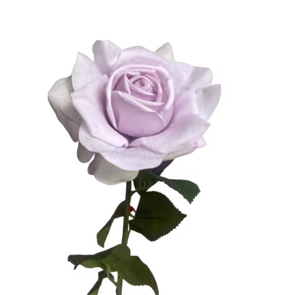 Lilac Eva Real Touch Rose