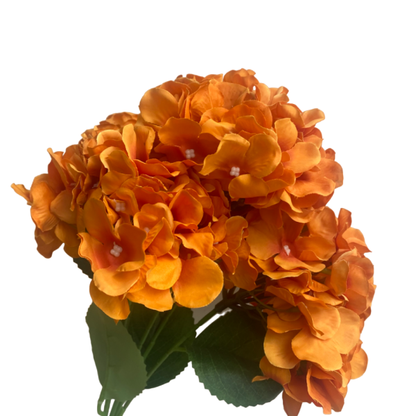 Orange Bianca 5-Head Hydrangea Bunch